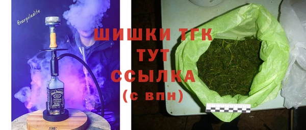 индика Абдулино