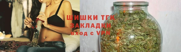 индика Абаза