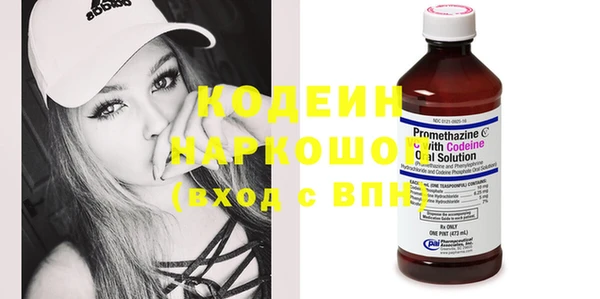 индика Абаза