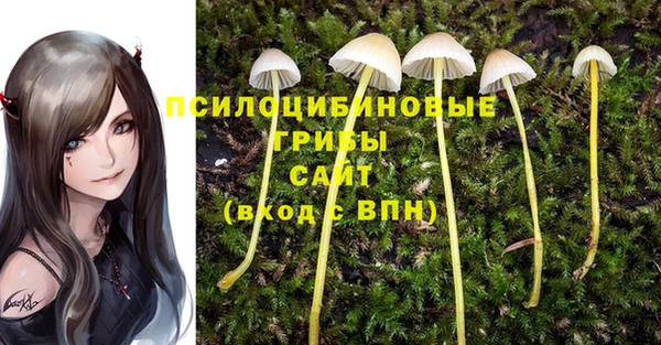mix Абинск