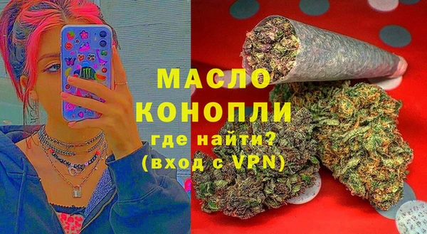 индика Абаза