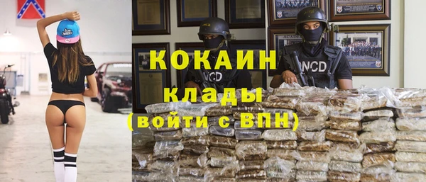 индика Абаза