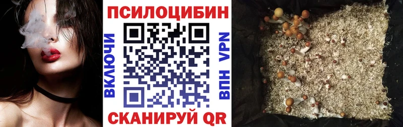 Галлюциногенные грибы Psilocybe Трубчевск
